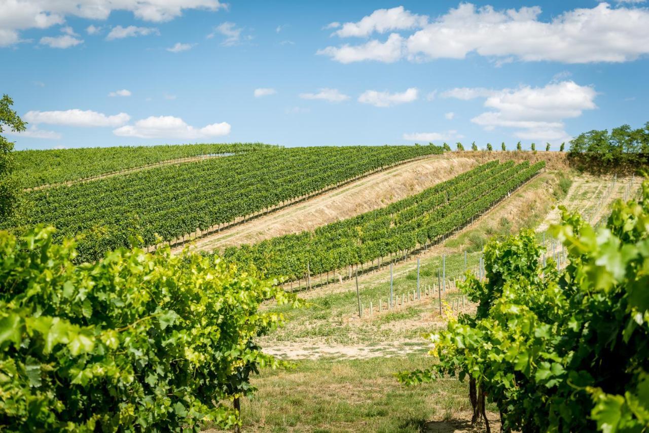 Отель Weingut Burger Kalladorf Экстерьер фото