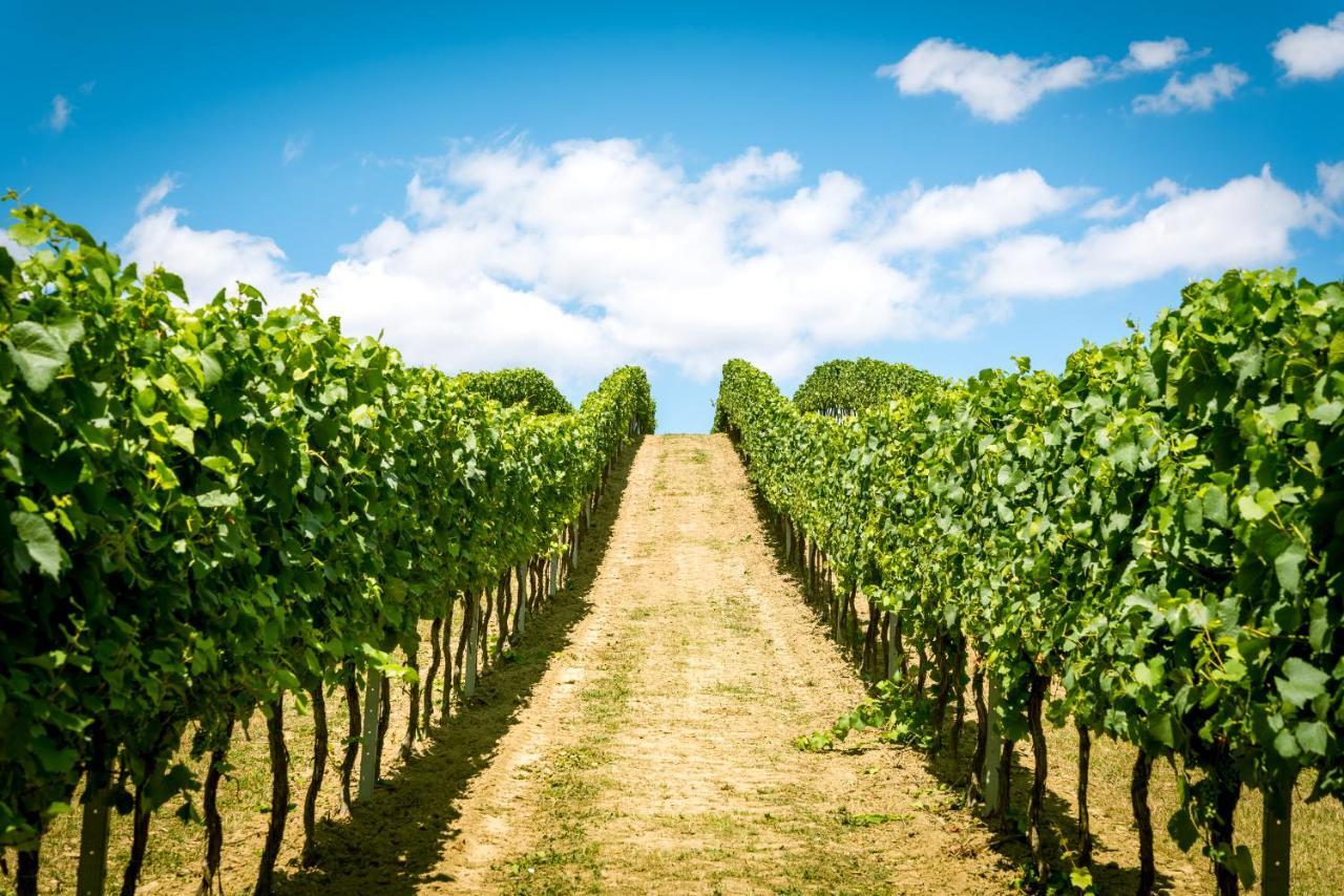 Отель Weingut Burger Kalladorf Экстерьер фото